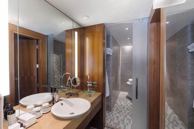 Park Hyatt Istanbul Macka Palas - Boutique Class-华丽客房, 2 张单人床-9