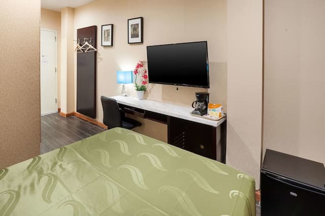 Quality Inn near Sunset Park-客房, 1 张双人床, 无烟房-3