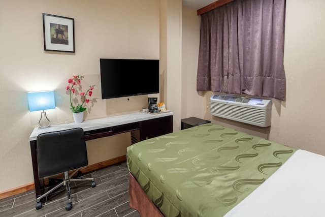 Quality Inn near Sunset Park-客房, 1 张双人床, 无烟房-5