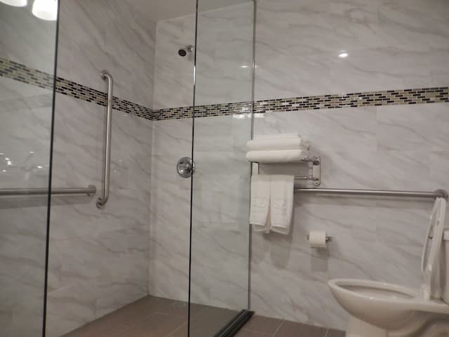 Quality Inn near Sunset Park-客房, 1 张双人床, 无烟房-6