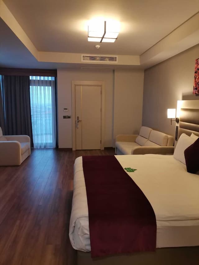 黃金皇家飯店及水療中心-Junior Suite Room-5