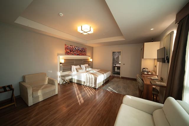 黃金皇家飯店及水療中心-Junior Suite Room-1