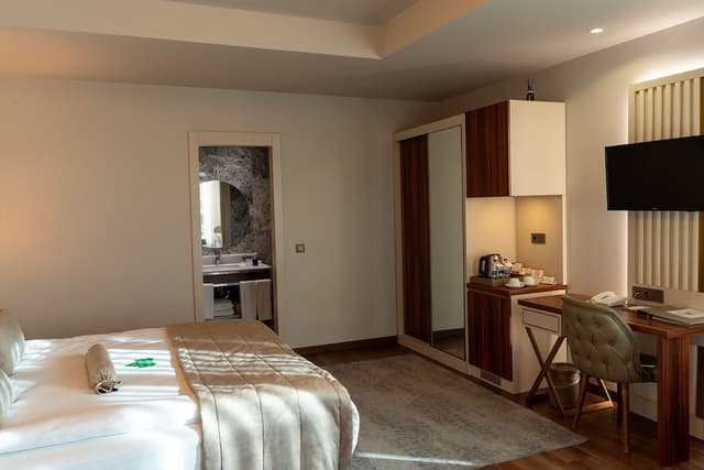 黃金皇家飯店及水療中心-Junior Suite Room-9