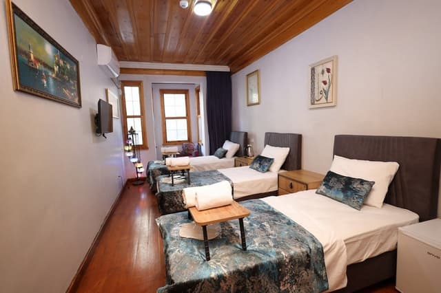 ザ トリップ イスタンブール ホテル-デラックス トリプルルーム-1