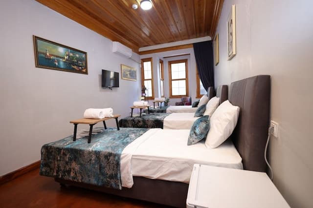 ザ トリップ イスタンブール ホテル-デラックス トリプルルーム-11