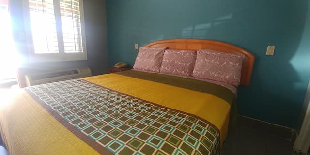 Travel Eagle Inn Motel-Basic Room, 1 King Bed-5