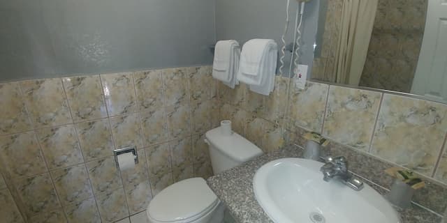 Travel Eagle Inn Motel-Basic Room, 1 King Bed-8