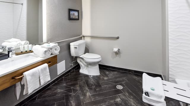 할리우드 인 스위트 호텔-룸, 킹사이즈침대 1개, 장애인 지원-10