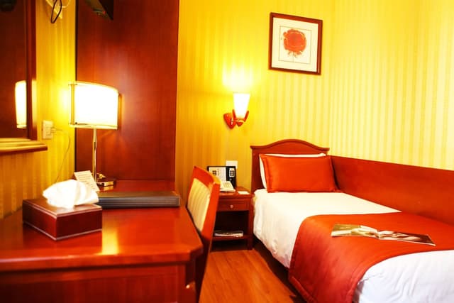 奧古斯塔魯西拉宮飯店-單人房-3