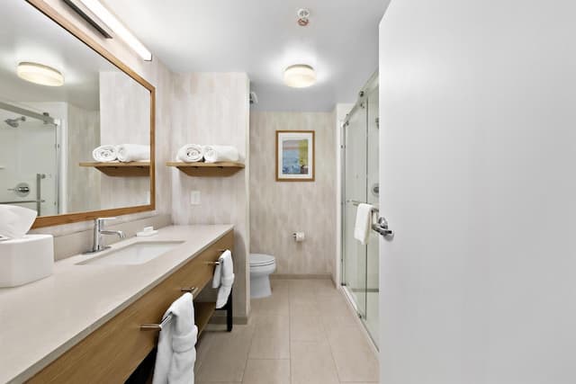 ハンプトン イン & スイーツ ランカスター-キングサイズベッド 1 台 (禁煙)-15