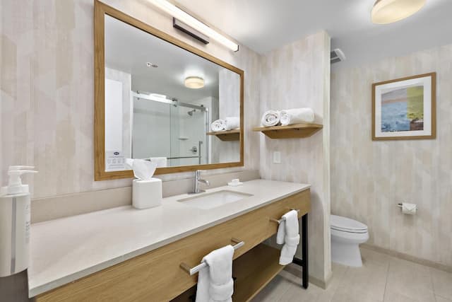 ハンプトン イン & スイーツ ランカスター-キングサイズベッド 1 台 (禁煙)-13