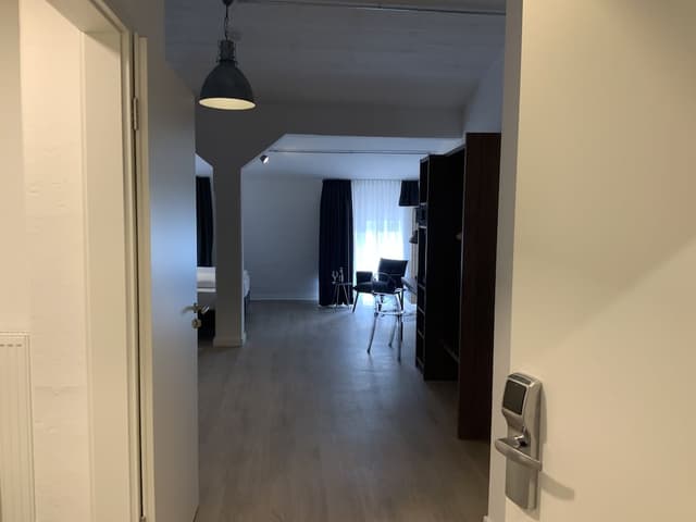 アルトシュタットホテル アルテ-デラックス ルーム-2