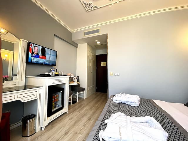 Gulhanepark Hotel & Spa-Superior Double or Twin Room, 1 Bedroom, City View-10