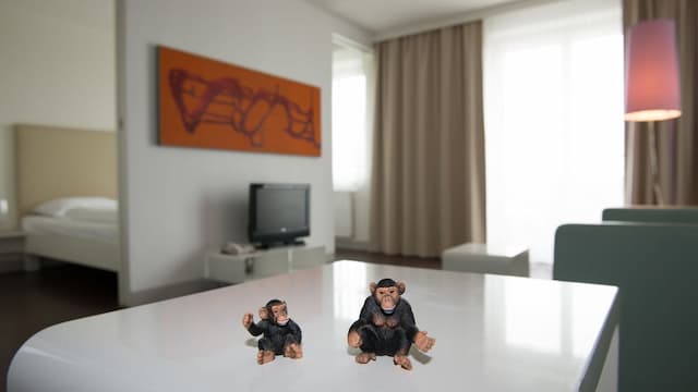 スタニーズ ダス アパートメントホテル-ダブルルーム (Monkey)-2