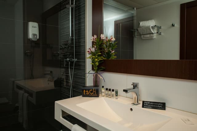 호텔 타츠 마드리드 에어포트-베이직 더블룸-12