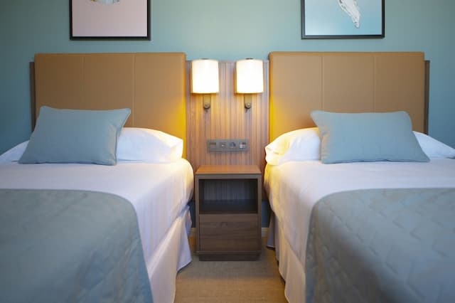 Hotel Riu Plaza España-Deluxe Room (Twin)-6