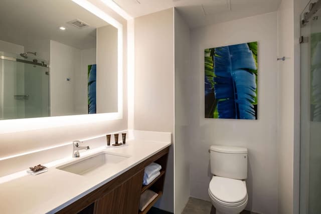 Wingate by Wyndham Long Island City-Room, 1 King Bed, Accessible, Non Smoking (Mobility/Hearing, Roll-In Shower)-5