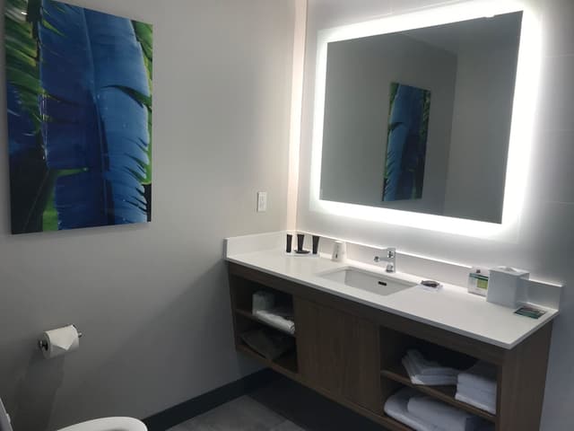 Wingate by Wyndham Long Island City-Room, 1 King Bed, Non Smoking-12