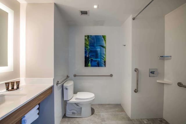 Wingate by Wyndham Long Island City-Room, 1 King Bed, Accessible, Non Smoking (Mobility/Hearing, Roll-In Shower)-6