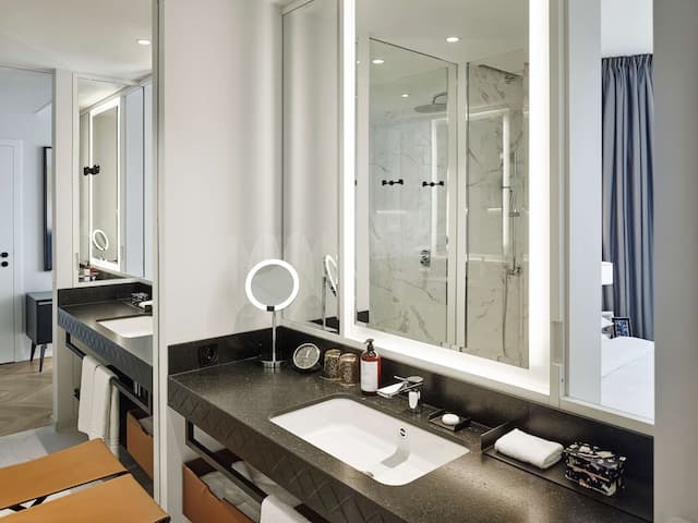 維也納安達仕貝爾維第凱悅飯店-客房, 2 張單人床-1