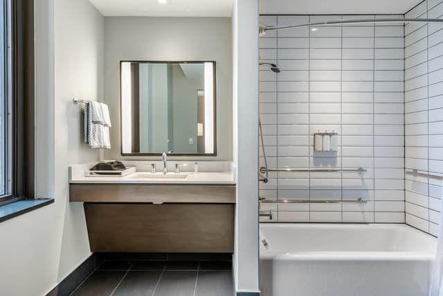 캠브리아 호텔 휴스턴 다운타운 컨벤션 센터-룸, 킹사이즈침대 1개, 장애인 지원, 금연 (City View)-6