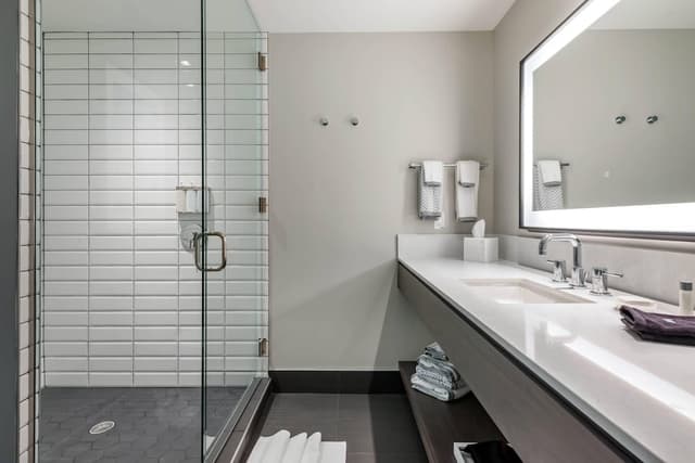 캠브리아 호텔 휴스턴 다운타운 컨벤션 센터-룸, 킹사이즈침대 1개, 장애인 지원, 금연 (City View)-7