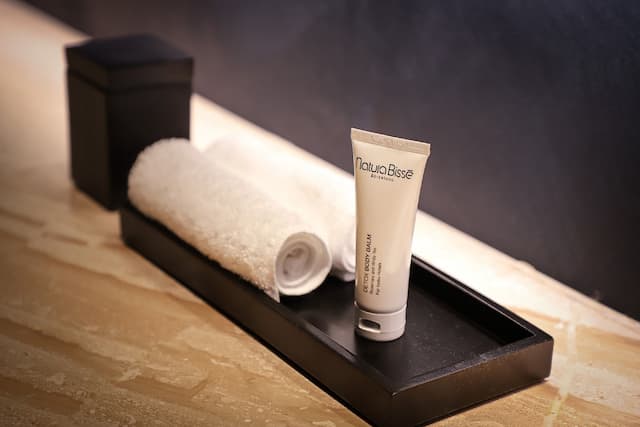 노부 호텔 시카고-디럭스룸, 킹사이즈침대 1개-5