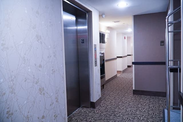 薄荷甘迺迪機場酒店-經典客房-5