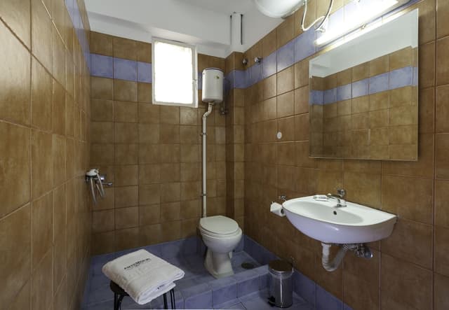 阿特米席翁酒店-雙人或雙床房, 私人浴室-4