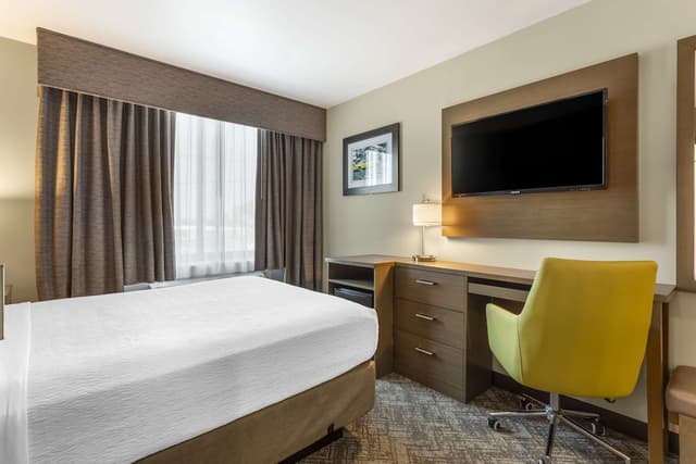 베스트 웨스턴 브루클린-코니아일랜드 인-스탠다드룸, 퀸사이즈침대 1개, 금연, 냉장고-2