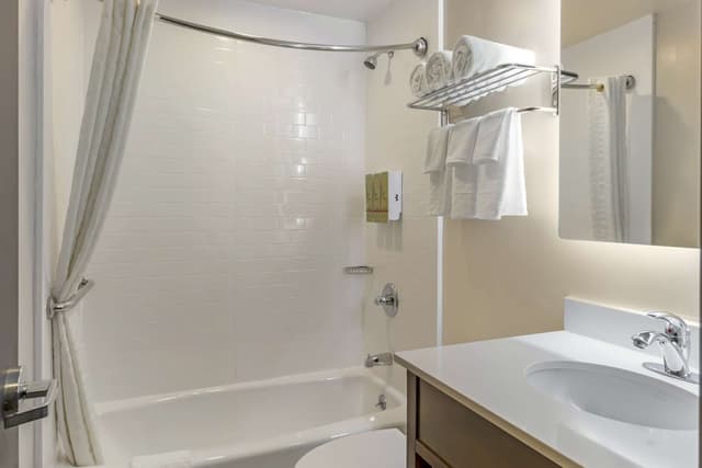 베스트 웨스턴 브루클린-코니아일랜드 인-스탠다드룸, 더블침대 2개, 금연, 냉장고-4