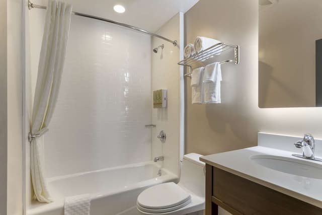 베스트 웨스턴 브루클린-코니아일랜드 인-스탠다드룸, 퀸사이즈침대 1개, 금연, 냉장고-7