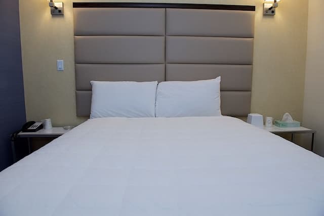 7 Days Hotel Bronx-华丽单人房-1