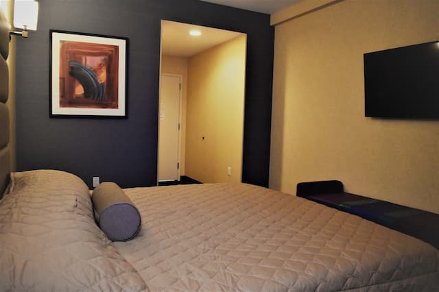 7 Days Hotel Bronx-华丽单人房-2