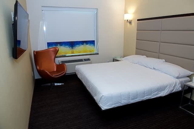 7 Days Hotel Bronx-华丽单人房-3