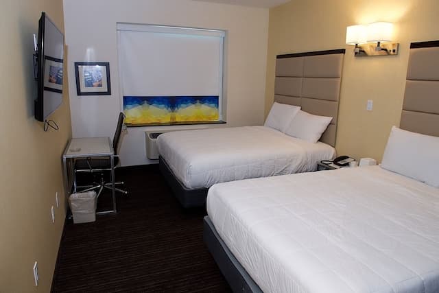 7 Days Hotel Bronx-华丽双人房-1