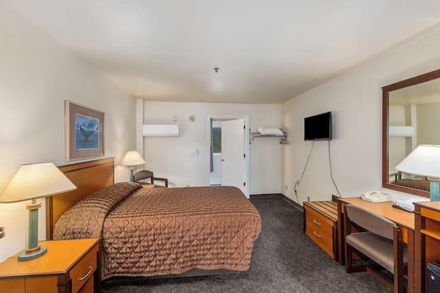 Breeze Inn-Accessible Single Room-1