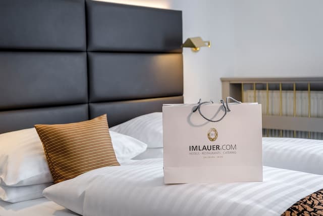 維也納伊姆勞爾飯店-標準雙人房-3