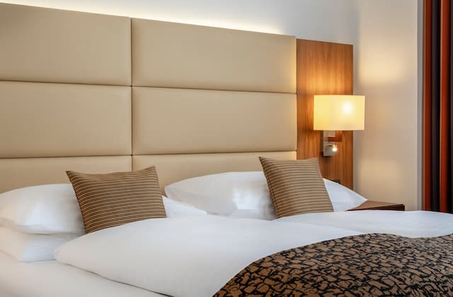 維也納伊姆勞爾飯店-標準雙人房-8