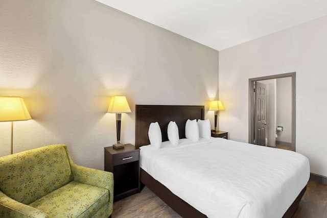 Sonesta Essential La Porte-客房, 1 张特大床-2