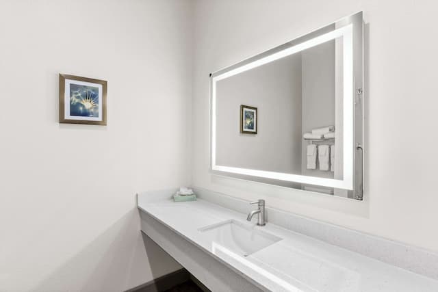 Sonesta Essential La Porte-客房, 1 张特大床-4