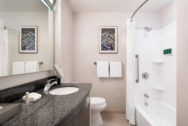 Courtyard Seattle Downtown Pioneer Square-客房, 1 张特大床-5