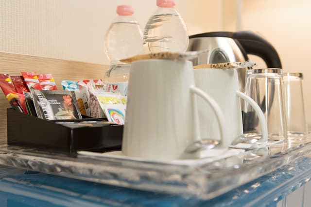 埃奎羅馬飯店-雙人房-4