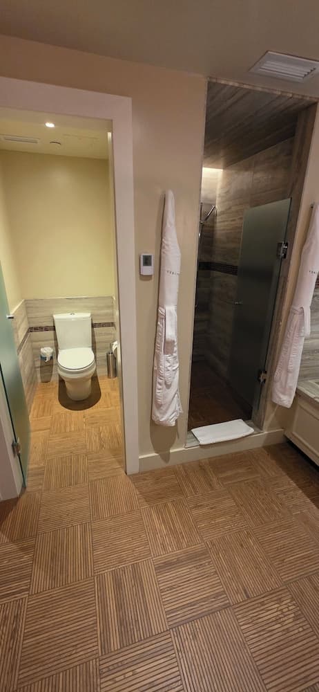 貝里蒂常青藤旅店-豪華客房, 1 張特大雙人床 (Spa, Pool, Gym - Woman Only)-40