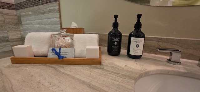 貝里蒂常青藤旅店-豪華客房, 1 張特大雙人床 (Spa, Pool, Gym - Woman Only)-39