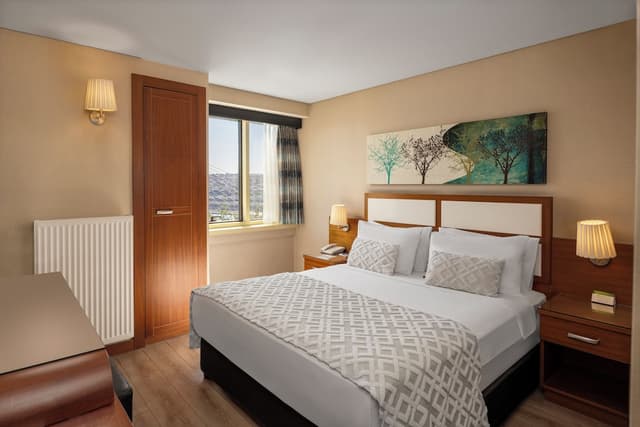 伊斯坦堡金城大飯店-Double or Twin Room Sea View-5