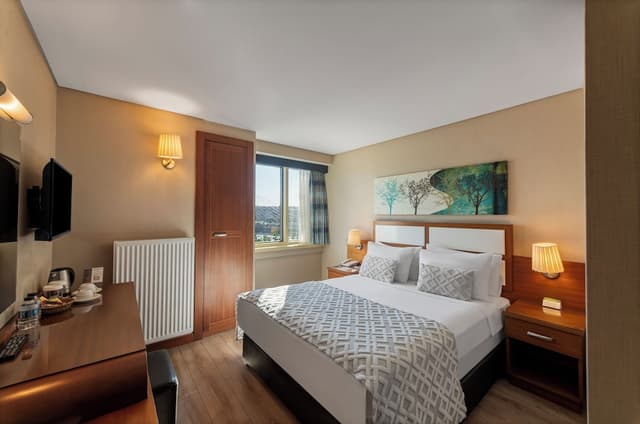 伊斯坦堡金城大飯店-Double or Twin Room Sea View-1
