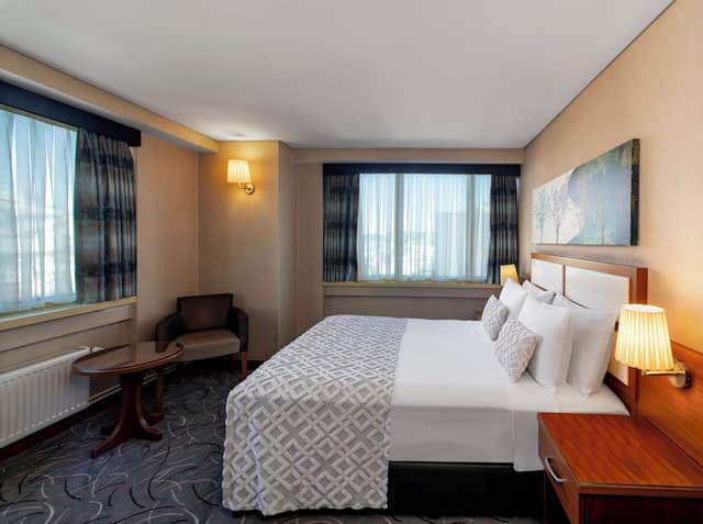 伊斯坦堡金城大飯店-Double or Twin Room City View-4