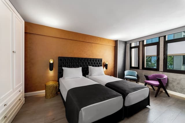 伊斯坦堡金城大飯店-Deluxe Standard Room-1