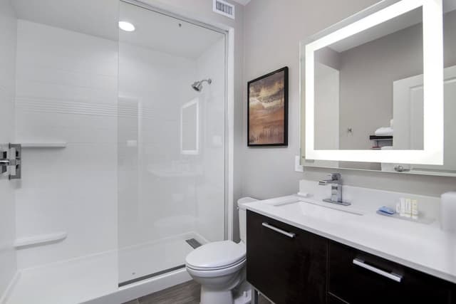 Towneplace Suites Houston Hobby Airport-Studio, 1 King Bed with Sofa bed-5